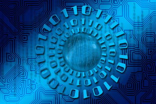 开云首页登录-大数据应用助力训练科学管理，大数据在训练管理中的应用